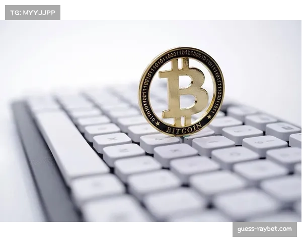 加密货币交易平台持续退出MMA赞助市场，对选手个人收入造成影响